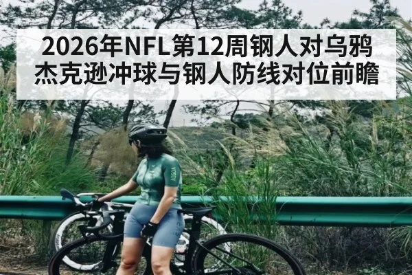 2026年NFL第12周钢人对乌鸦杰克逊冲球与钢人防线对位前瞻